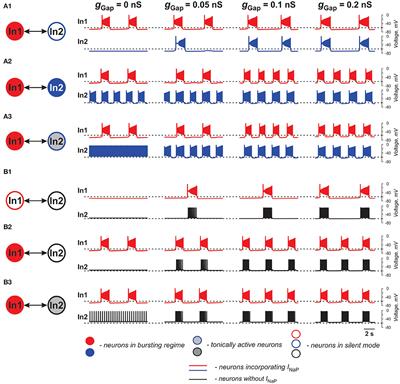 Neural Interactions in Developing Rhythmogenic Spinal Networks: Insights From Computational Modeling